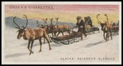 2 Alaska Reindeer Sledges